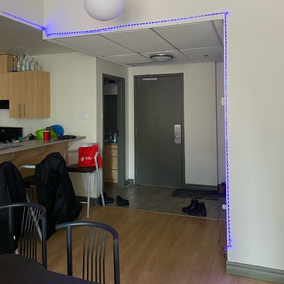 Decoration neon lights for partys- meetings with remote control- 5 metres - Picture 2 of 2